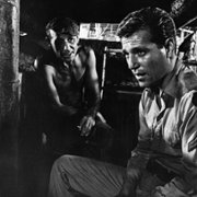 King Rat - galeria zdjęć - filmweb
