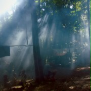 Song from the Forest - galeria zdjęć - filmweb