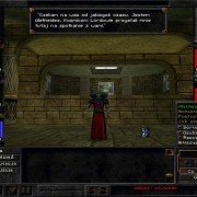 Wizardry 8 - galeria zdjęć - filmweb