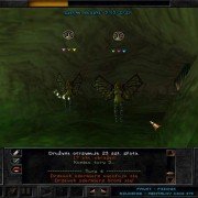 Wizardry 8 - galeria zdjęć - filmweb