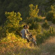 The Hundred-Foot Journey - galeria zdjęć - filmweb