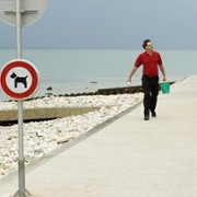 La Fée - galeria zdjęć - filmweb