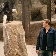 Zmiennokształtni - galeria zdjęć - filmweb