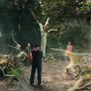 Woodwalkers - galeria zdjęć - filmweb
