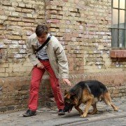 Łapa - galeria zdjęć - filmweb