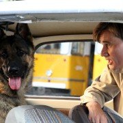Łapa - galeria zdjęć - filmweb