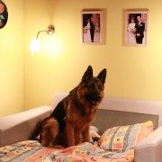 Mancs - galeria zdjęć - filmweb
