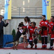 Mancs - galeria zdjęć - filmweb