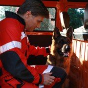 Mancs - galeria zdjęć - filmweb