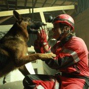 Mancs - galeria zdjęć - filmweb