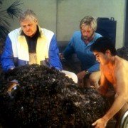 Cocoon - galeria zdjęć - filmweb