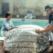 Cocoon - galeria zdjęć - filmweb