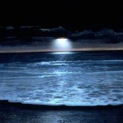 Cocoon - galeria zdjęć - filmweb