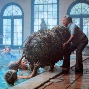 Cocoon - galeria zdjęć - filmweb