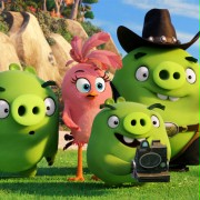 Angry Birds Film - galeria zdjęć - filmweb