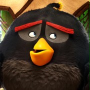 Angry Birds Film - galeria zdjęć - filmweb