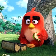 Angry Birds Film - galeria zdjęć - filmweb