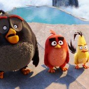 The Angry Birds Movie - galeria zdjęć - filmweb