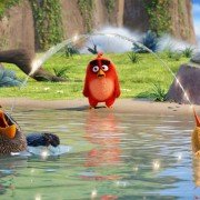 The Angry Birds Movie - galeria zdjęć - filmweb