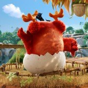 The Angry Birds Movie - galeria zdjęć - filmweb
