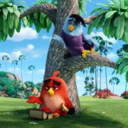 The Angry Birds Movie - galeria zdjęć - filmweb