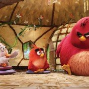 The Angry Birds Movie - galeria zdjęć - filmweb
