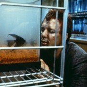 Rumble Fish - galeria zdjęć - filmweb