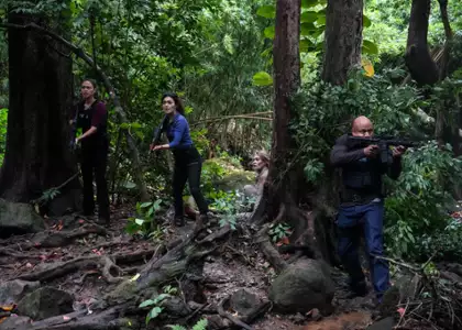 Agenci NCIS: Hawaje - galeria zdjęć - filmweb
