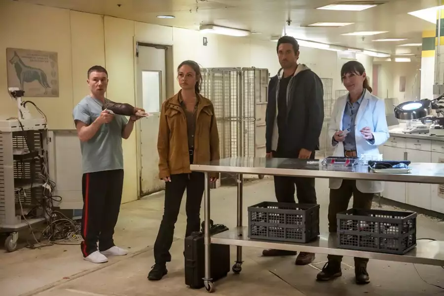 Agenci NCIS: Hawaje - galeria zdjęć - filmweb
