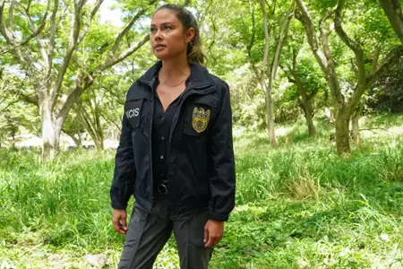 Agenci NCIS: Hawaje - galeria zdjęć - filmweb