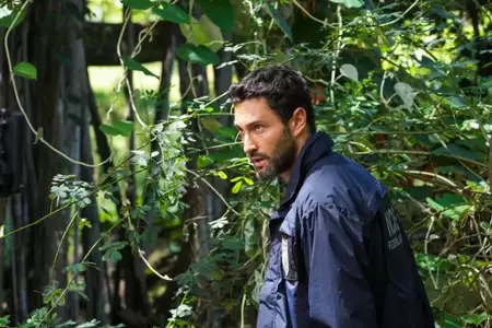 Agenci NCIS: Hawaje - galeria zdjęć - filmweb