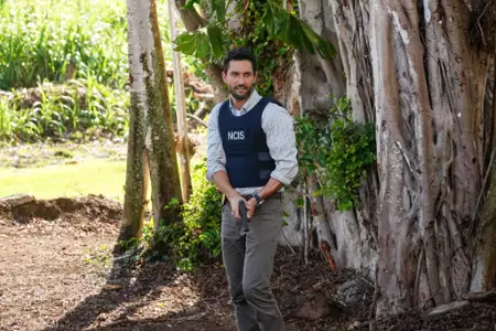 Agenci NCIS: Hawaje - galeria zdjęć - filmweb