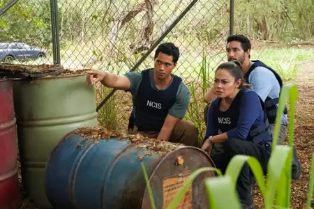 Agenci NCIS: Hawaje - galeria zdjęć - filmweb