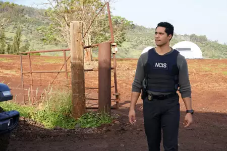 Agenci NCIS: Hawaje - galeria zdjęć - filmweb