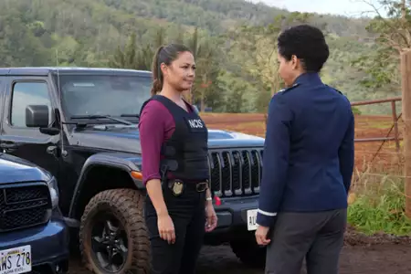 Agenci NCIS: Hawaje - galeria zdjęć - filmweb