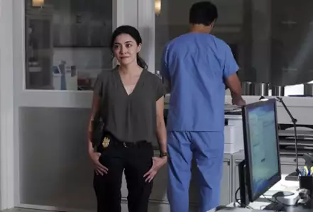 Agenci NCIS: Hawaje - galeria zdjęć - filmweb