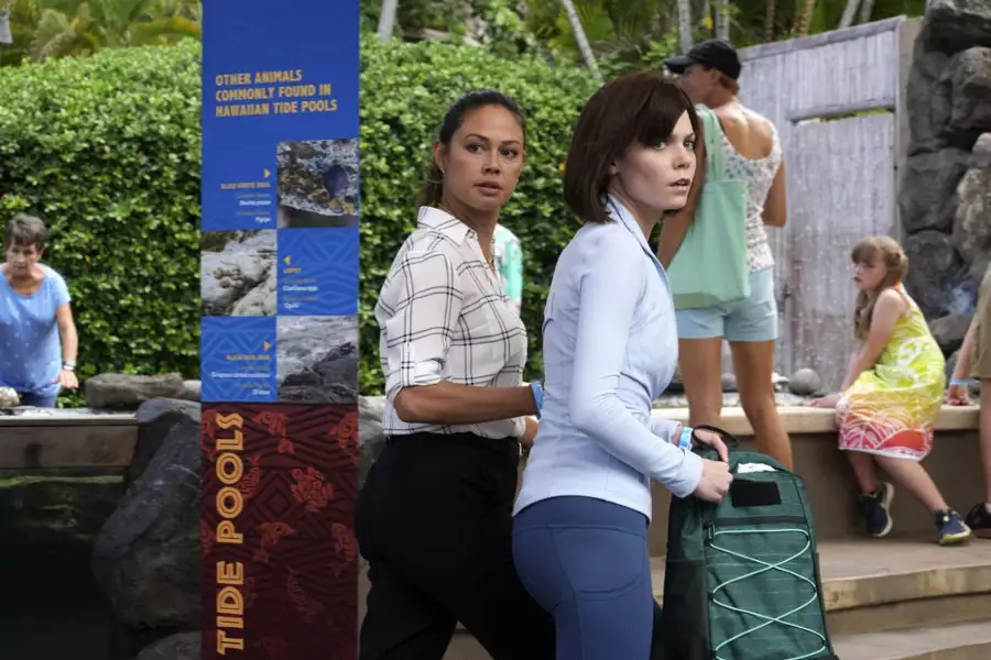 Agenci NCIS: Hawaje - galeria zdjęć - filmweb
