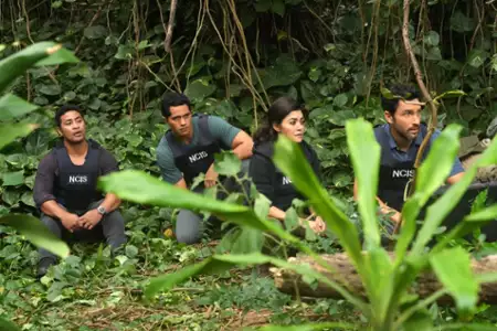 Agenci NCIS: Hawaje - galeria zdjęć - filmweb