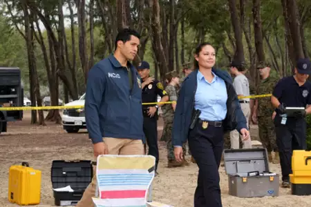 Agenci NCIS: Hawaje - galeria zdjęć - filmweb