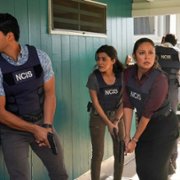 NCIS: Hawai'i - galeria zdjęć - filmweb