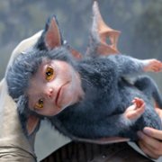 Tayna pechati drakona - galeria zdjęć - filmweb