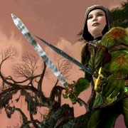 The Lord of the Rings Online: Siege of Mirkwood - galeria zdjęć - filmweb