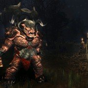 The Lord of the Rings Online: Shadows of Angmar - galeria zdjęć - filmweb