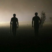 Câini - galeria zdjęć - filmweb