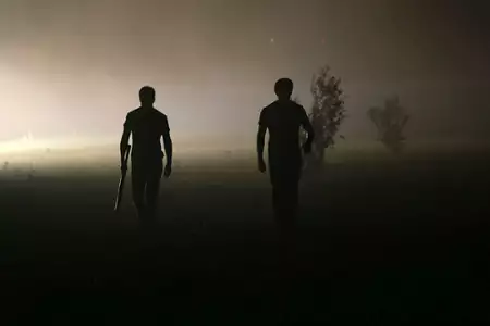 Psy - galeria zdjęć - filmweb