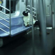 21 x Nowy Jork - galeria zdjęć - filmweb