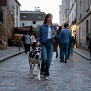 French Lover - galeria zdjęć - filmweb