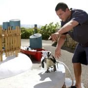 50 First Dates - galeria zdjęć - filmweb