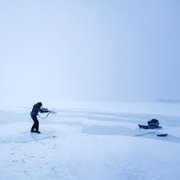 Czarny Krab - galeria zdjęć - filmweb