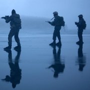 Svart krabba - galeria zdjęć - filmweb